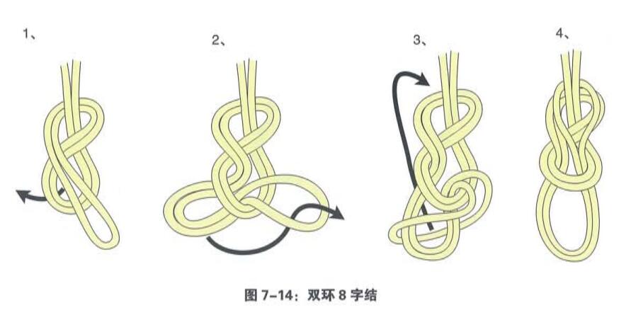 双环8字结